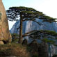 旅游景點(diǎn)